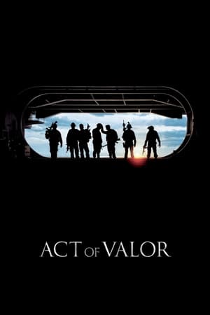 Act of Valor (2012) Dual Audio | Dubbed Hindi Movie BluRay [1.1GB]