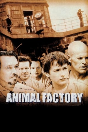 Animal Factory (2000) Dual Audio | Dubbed Hindi Movie BluRay 300MB