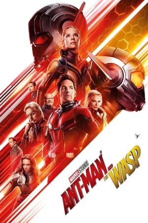 Ant Man and the Wasp (2018) (Org) Dual Audio | Dubbed Hindi Movie BluRay [1.1GB]