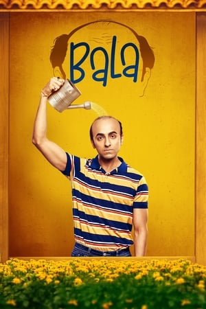 Bala 2019 Movie | Dubbed Hindi Movie HDRip x264 [1GB]