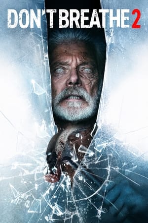 Don’t Breathe 2 (2021) Dual Audio | Dubbed Hindi Movie HDRip 400MB
