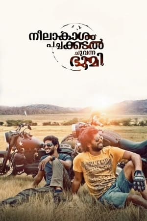 Neelakasham Pachakadal Chuvanna Bhoomi (2013) Dubbed | Dubbed Hindi Movie HDRip [1.4GB]