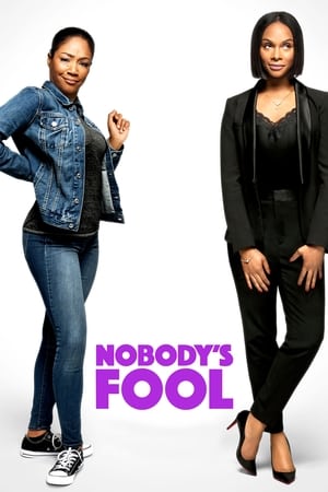 Nobody’s Fool (2018) Dual Audio | Dubbed Hindi Movie BluRay [1GB]
