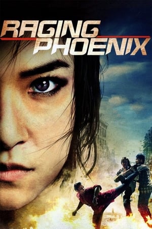 Raging Phoenix (2009) Dual Audio | Dubbed Hindi Movie HDRip 350MB