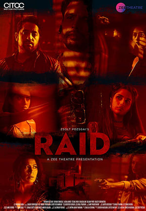 Raid 2019 Movie | Dubbed Hindi Movie HDRip - [250MB]