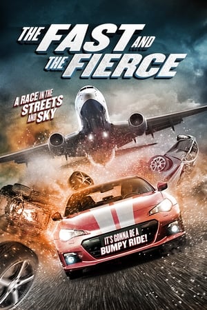 The Fast and the Fierce 2017 Dual Audio | Dubbed Hindi Movie BluRay [900MB]