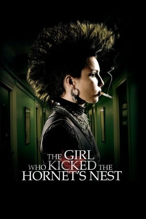 The Girl Who Kicked the Hornet's Nest (2009) Dual Audio | Dubbed Hindi Movie BluRay [1.2GB]