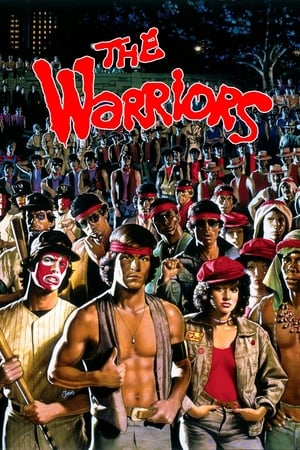 The Warriors 1979 Dual Audio | Dubbed Hindi Movie BluRay 300MB